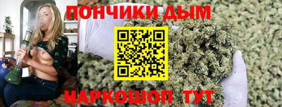 прущие крисы Гай