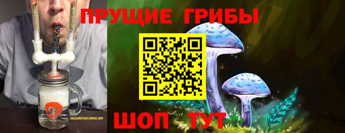 Шелехов  Псилоцибиновые грибы Psilocybine cubensis  Псилоцибиновые грибы Magic Shrooms  Вход с VPN 